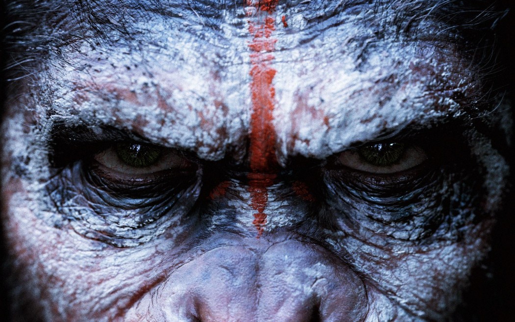 Dawn-Of-The-Planet-Of-The-Apes-Face-Wallpaper