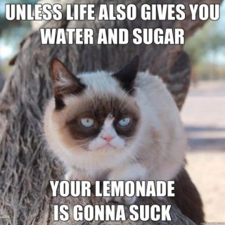 Grumpy Cat meme, in the  house, boys and girls.